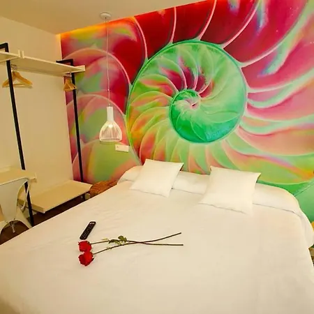 Apartamento The Shell - New *