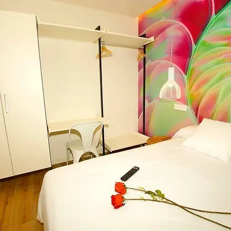 The Shell - New Apartamento