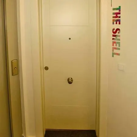 The Shell - New Apartamento