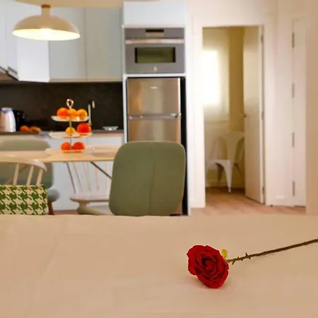 The Shell - New Apartamento