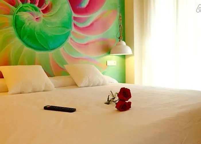 The Shell - New * Alicante