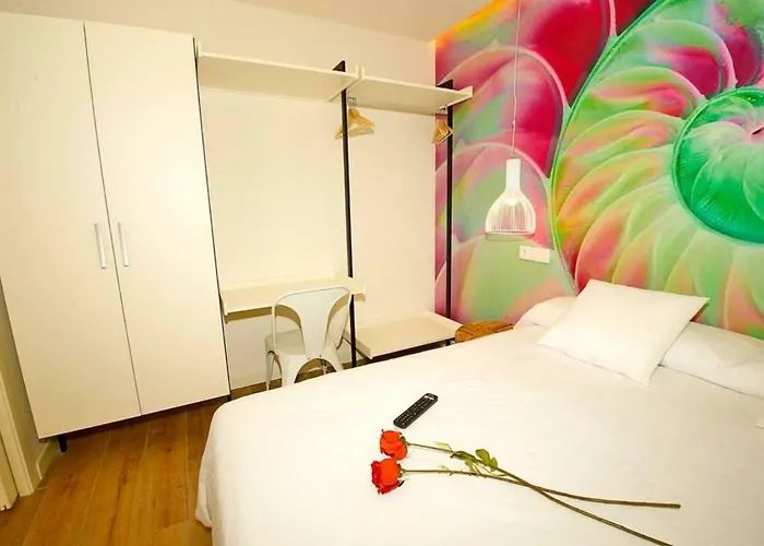 The Shell - New Apartment