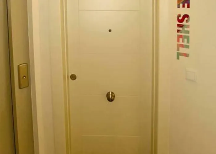 The Shell - New Apartment