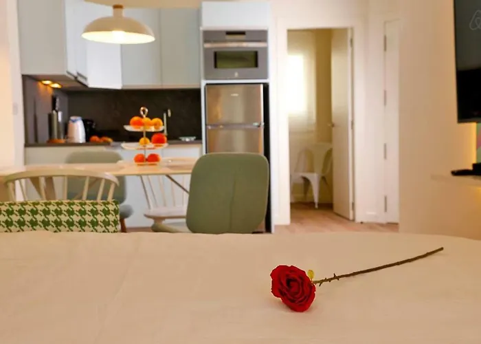 The Shell - New Apartment